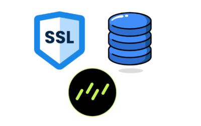 Add SSL to Drizzle + NestJS for AWS RDS (Postgres)
